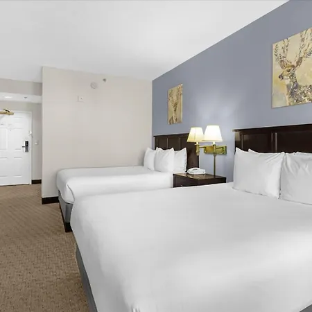 Studio Apartment W Pool & Hot Tub - Near Universal Studio